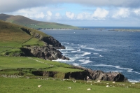 Dunquin - Dingle way