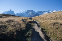 Col du Souchet