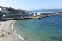 Finnistera